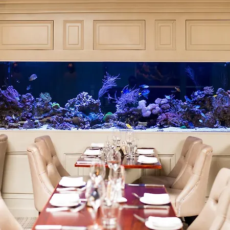 Vaughans Anchor Liscannor