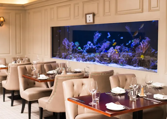 Vaughans Anchor Gasthof Liscannor