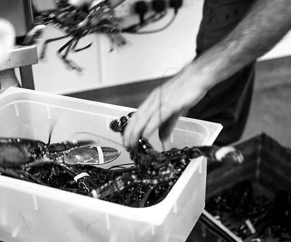 Vaughans Anchor Гостевой дом